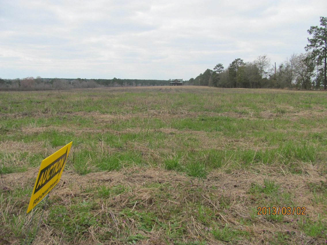 50 ACRES, TOOMBS COUNTY